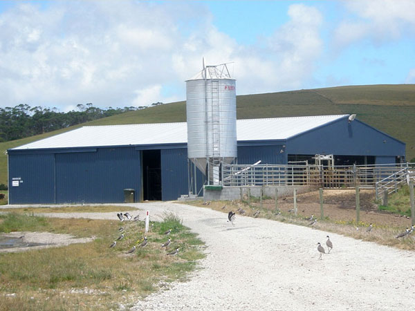 Rural Dairy Shed